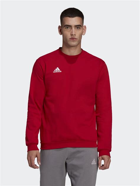 Свитшот adidas Ent22 Sw Top - купить с доставкой по выгодным ценам в ...