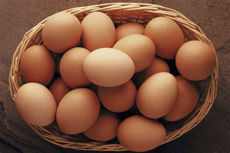 Egg Allergy Symptoms in Adults | 2bstronger.com