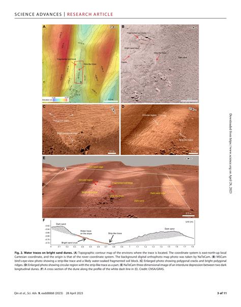 Christa Pike Case: New Evidence Surfaces – What Does It Mean? Image 14