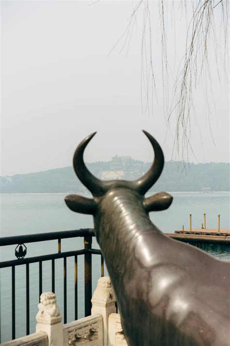 Big Black Big Booty Photos, Download The BEST Free Big Black Big Booty