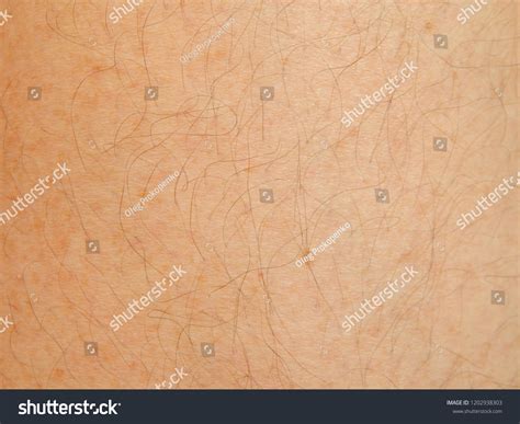 human skin texture  parts body stock photo  shutterstock