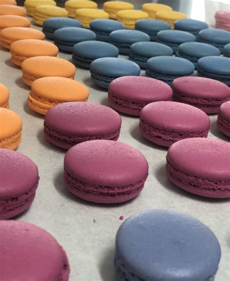 Custom Coloured Macarons | Chaos & Couture Cakes by Nadia