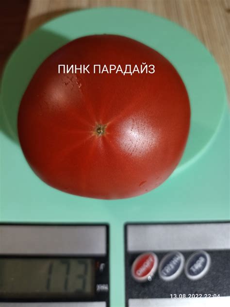 Томат Пинк Парадайз: ОТЗЫВЫ (27), фото, урожайность, описание и ...