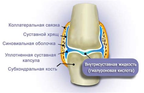 Остенил плюсы: инструкция, дозировка, цены, отзывы. – эффективное ...