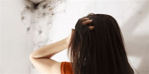 how to fix roof leak inside