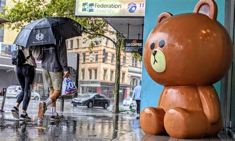 Apologies for the creepshot. He(?) Just looked so appropriately