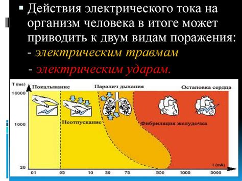 Электробезопасность. Действие электрического тока на человека ...