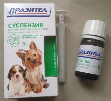 Празител для собак: описание, состав, инструкция | Все о собаках