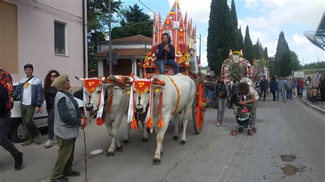 San Pardo 2015 Larino CB - YouTube