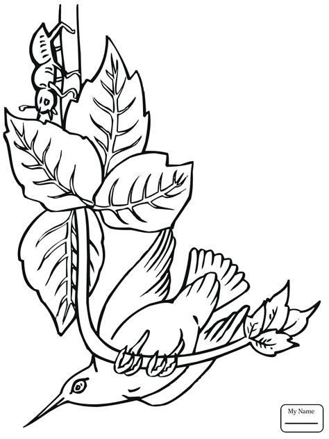 Swallow Coloring Page at GetColorings.com | Free printable colorings ...