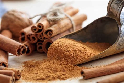 9 Ways to Use Cinnamon in the Garden to Help Your Plants Thrive