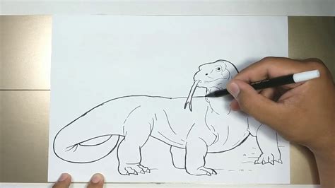How to draw KOMODO Dragon in 5 Minutes - YouTube