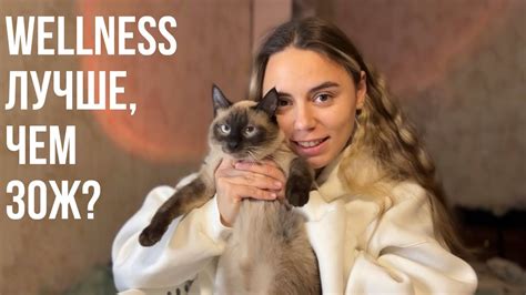 Что такое wellness? И чем он лучше, чем ЗОЖ - YouTube