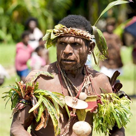 Traditional Dance Ceremony Papua New Guinea Stock Photos - Free ...