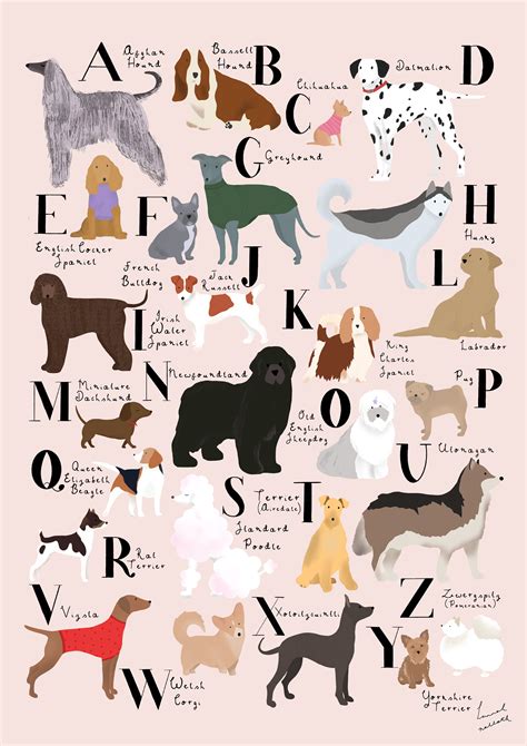 Dog Alphabet Print A-Z of Dogs Illustrated Dog Breeds Dog | Etsy