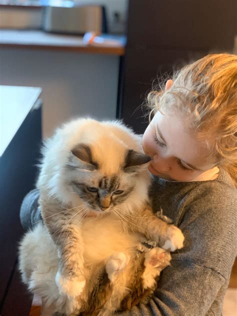 Šiandien - savo... - Vandos Kavaliauskienės katinų muziejus | Facebook