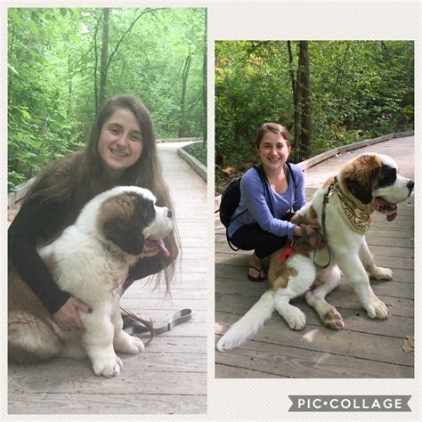 10 weeks old vs. 5 and 1/2 months old : dogpictures