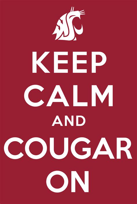 cougar quotes quotesgram