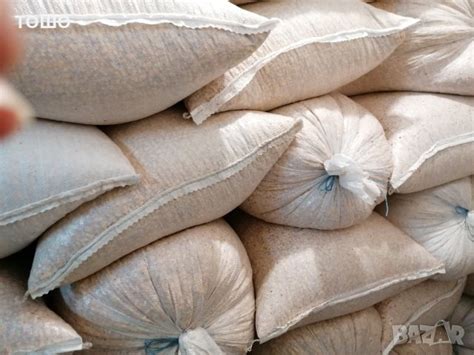 царевица в Крави в с. Ягодово - ID21286472 — Bazar.bg