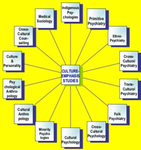 TRANSCEND MEDIA SERVICE » Reflections on the Cultural Construction of ...