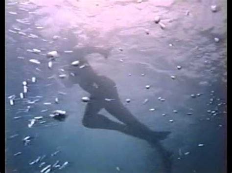 Tintorera (1977) Trailer - YouTube