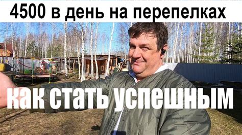 4500 в день на перепелках как стать успешным - YouTube