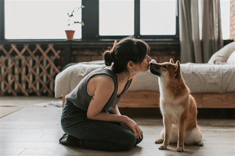 Understanding Types of Dog Growls and Aggressive Behavior