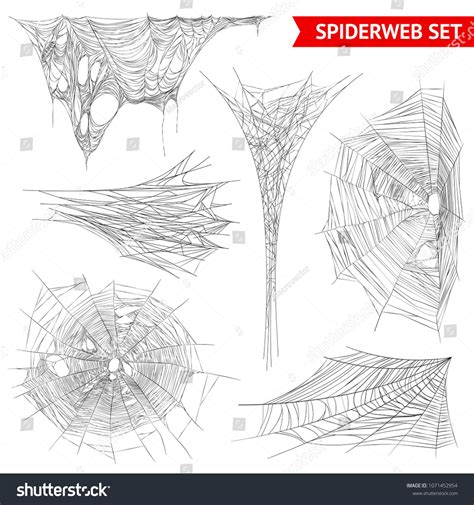 types spider web cobweb structures stock vector royalty