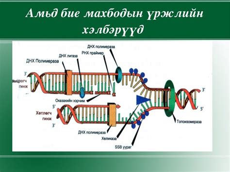 амьд биеийн үржил хэрэглэгдэхүүн
