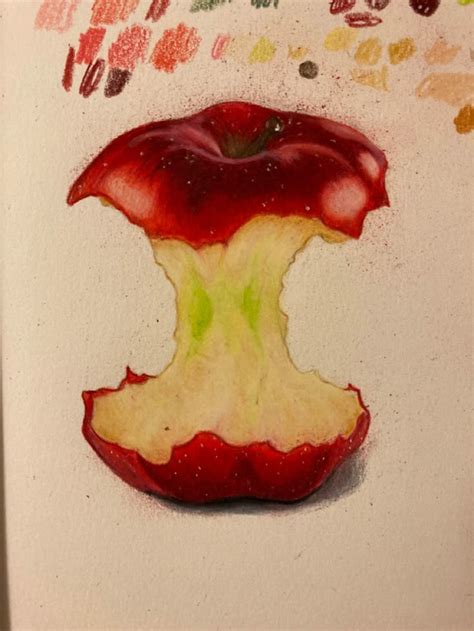 apple colored pencil art   art drawings beautiful apple sketch