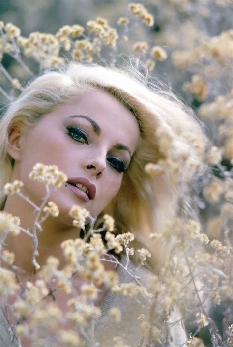 Lady Hollywood
