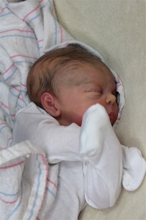 1000+ images about Reborn dolls on Pinterest