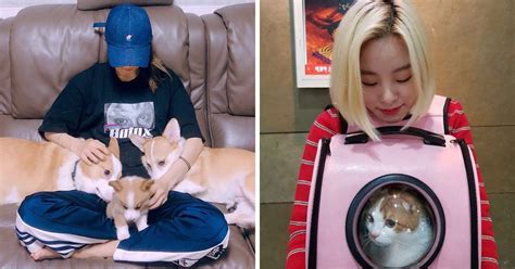 Meet The Adorable Pets Of Each MAMAMOO Member - Koreaboo
