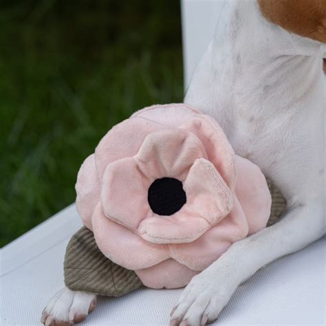 POPPY - Enrichment and Interactive Dog Toy | Puzzle Dog Toy – Lambwolf ...