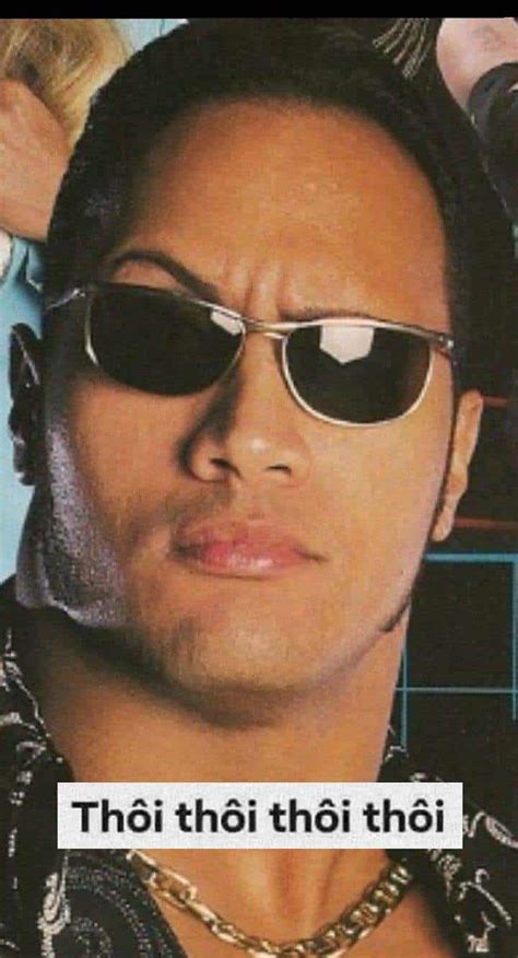 Meme The Rock Ngầu [90+ Ảnh Meme Mèo The Rock Hài]