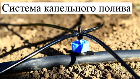 Система капельного полива для дачи, сада, огорода