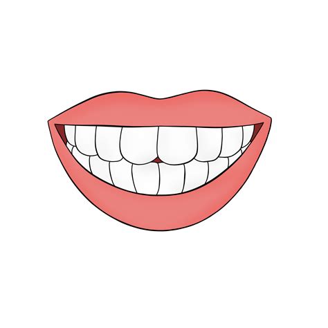 teeth human body part cartoon illustration  png