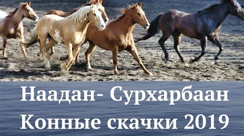 Наадан - Сурхарбаан. Конные скачки - 2019. - YouTube