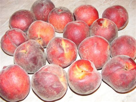 Preparatedevis.ro: Piersici