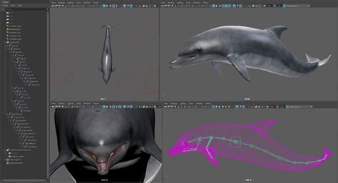 Animated Bottlenose Dolphin - 3D Model by NoneCG