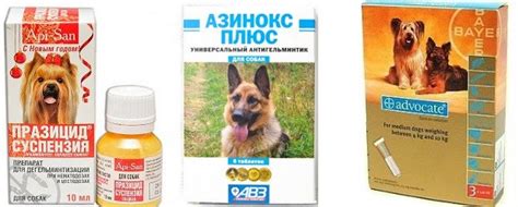 Что лучше: суспензия от глистов для собак, капли на холку, таблетки
