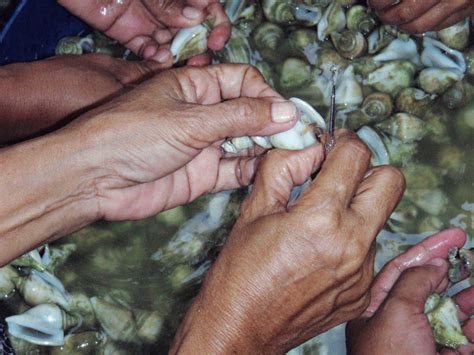 BBPP KUPANG - blog