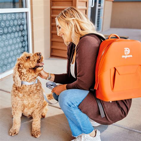 Why Dogtopia Of New Orleans Is The Ultimate Staycation For Your Pup