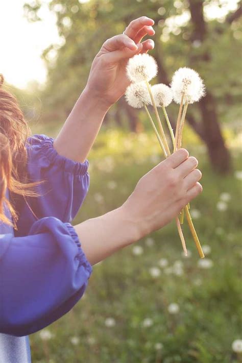 Your Wellness Guide to Seasonal Allergies - Natures Fare