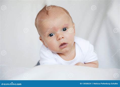 Pasgeboren baby stock foto. Image of aanbiddelijk, zuigeling - 13058624