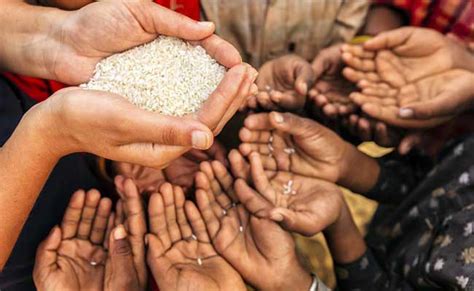 Mobilising effectively against hunger - Vanguard News