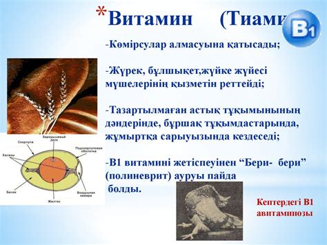 Дәрумендер - презентация онлайн