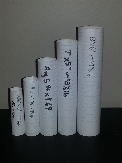 A Visual Comparison of Penis Sizes [SFW] | Scrolller - One For All