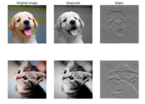 SystemAntics: DNNs, ML, Systems and Code...: Overview of Forward and ... 