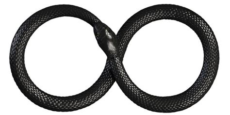 breaking  law  chan  kun  briefly   ars